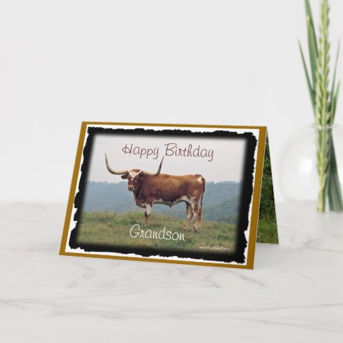 Longhorn on a hill_customize_any occasion card