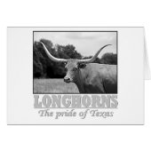longhorn_pride (Front Horizontal)