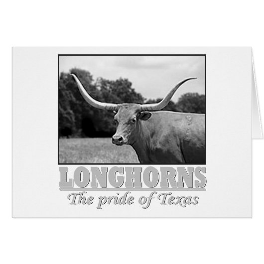 longhorn_pride cards (Front Horizontal)