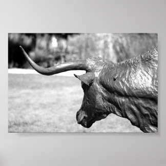 Longhorn Profile Poster