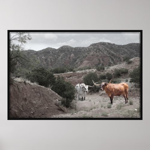 Longhorn Ravine Spot Color Poster _60x40