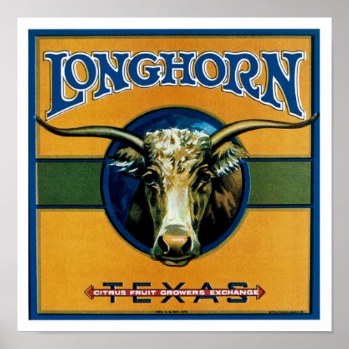 Longhorn Texas Poster