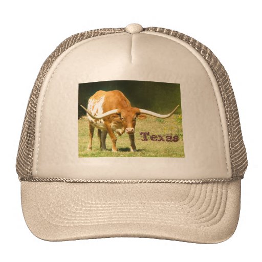 Longhorn Texas Trucker Hat | Zazzle