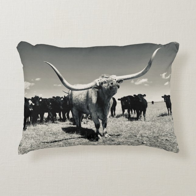 Longhorn Throw Pillow (Front)