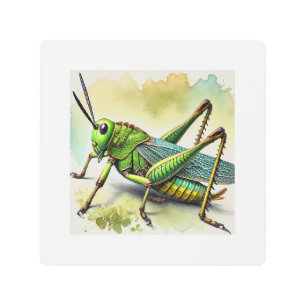Longhorned Grasshopper Katydid 270824IREF244 - Wat Metal Print