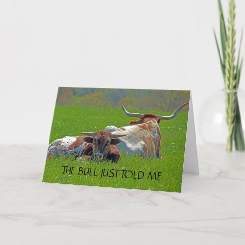 Longhorns in a Field Birthday Card