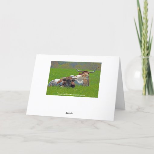 Longhorns in a Field Birthday Card | Zazzle