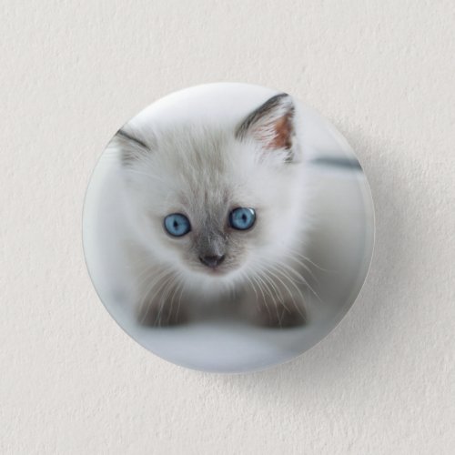Longing for you Lost white Kitten with blue Eyes Button