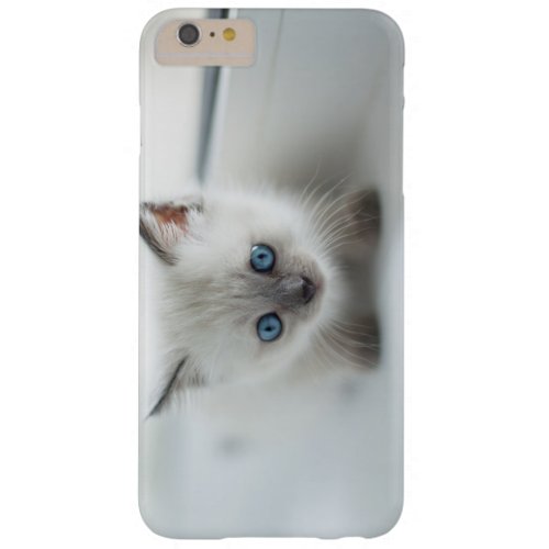 Longing for you Lost white Kitten with blue Eyes Barely There iPhone 6 Plus Case