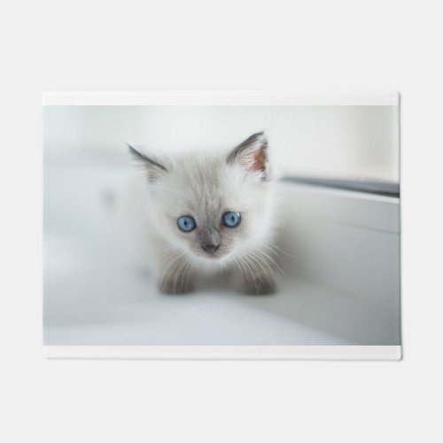 Longing for you Lost white Kitten with blue Eyes Doormat