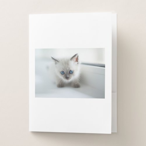 Longing for you Lost white Kitten with blue Eyes Pocket Folder