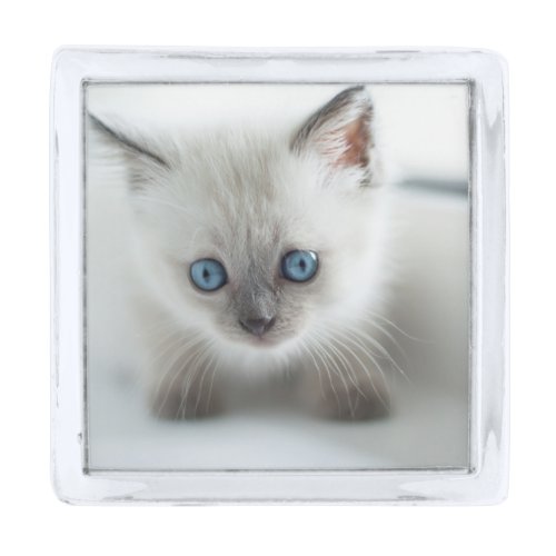 Longing for you Lost white Kitten with blue Eyes Silver Finish Lapel Pin