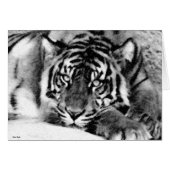 Longing to be (Front Horizontal)