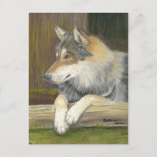 Longing to be Free Postcard