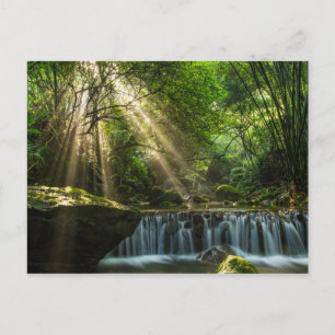 Longquan Glamorous Creek Postcard