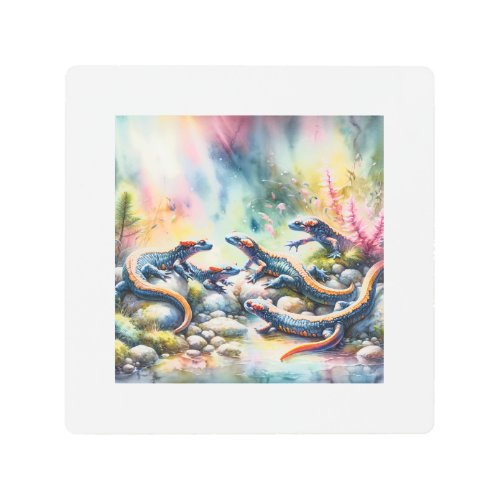 Longtailed Salamanders in Harmony 050624AREF115 _  Metal Print