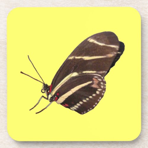 Longwing Zebra Butterfly Cork Coaster