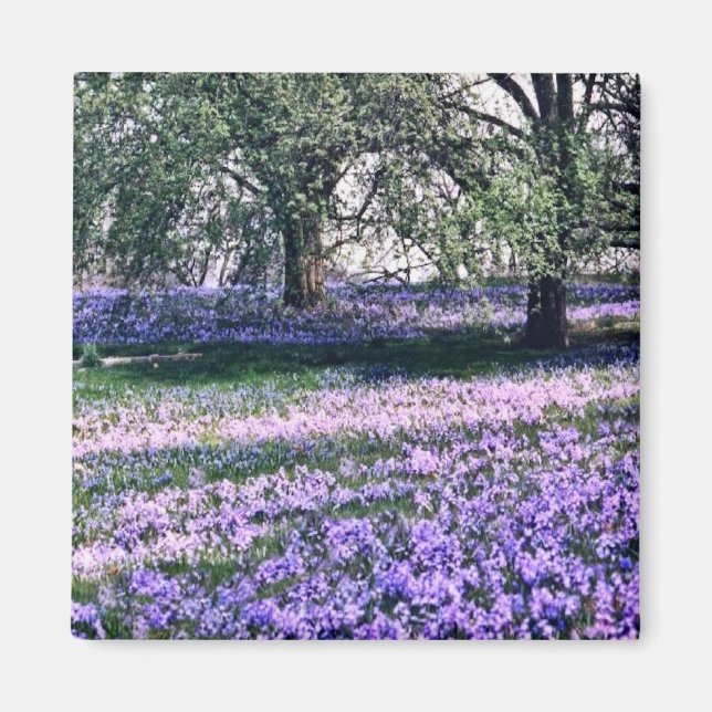 Longwood Gardens in Spring Magnet (Front)