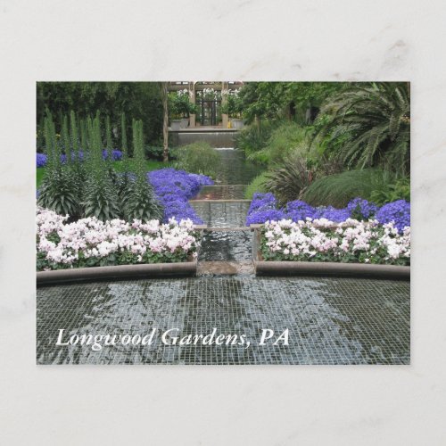 Longwood Gardens PA Postcard