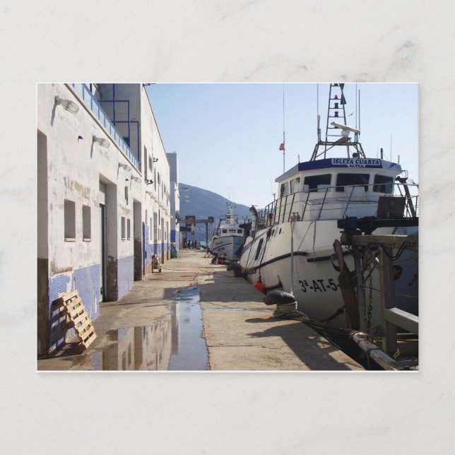 Lonja del puerto de Altea, Alicante, España Postcard (Front)