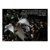 Look Again in Your Heart (Front Horizontal)