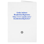 Look at me!!!! cards (Back)