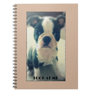 Look at me Cute dog notebook
