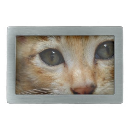 Look at me! Sweet tigered Kitten Belt Buckle