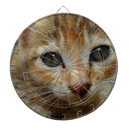 Look at me! Sweet tigered Kitten Dartboard With Darts