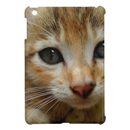 Look at me! Sweet tigered Kitten iPad Mini Covers