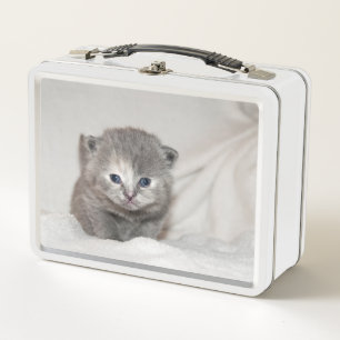 Look at this little grey Kitten Metal Lunch Box
