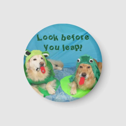 Look Before You Leap Golden Frogs Magnet