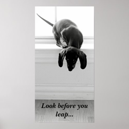 Look before you leap poster