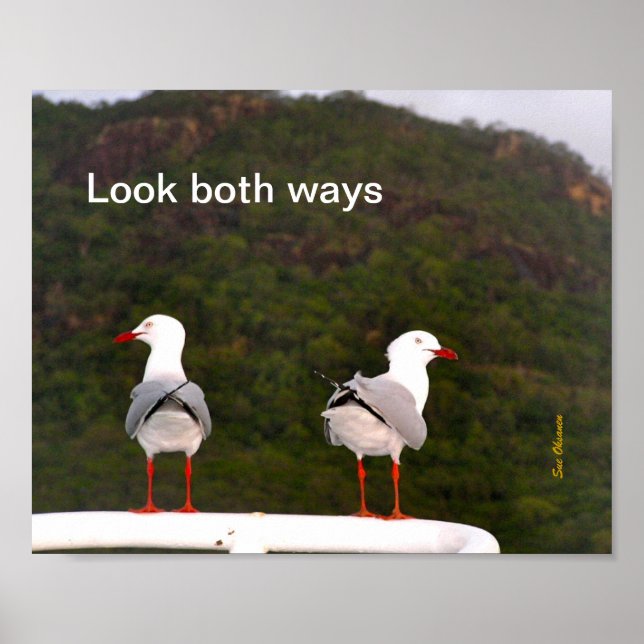 Look both ways poster (Front)