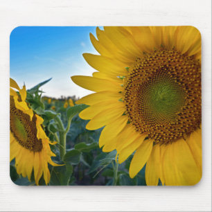 Look Closer Mouse Pad