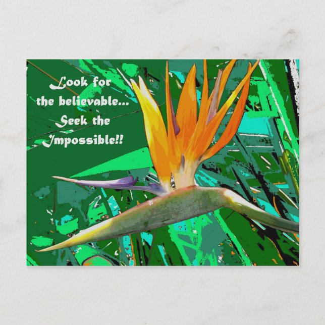 Look for... postcard (Front)