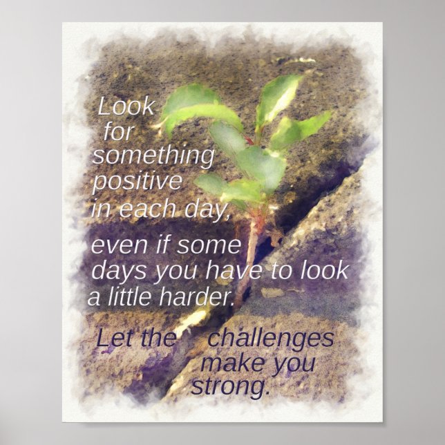 Look for Something Positive Every Day Inspiration Poster (Front)