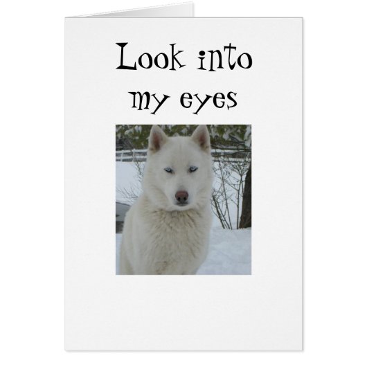 "LOOK INTO MY EYES AND HEART" CARDS (Front)