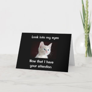 "LOOK INTO MY EYES BIRTHDAY WISHES FROM CAT" CARD