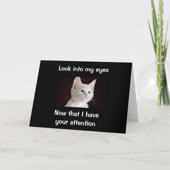 "LOOK INTO MY EYES BIRTHDAY WISHES FROM CAT" CARD (Front)