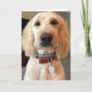 LOOK INTO MY EYES ***HAPPY BIRTHDAY TO YOU*** CARD