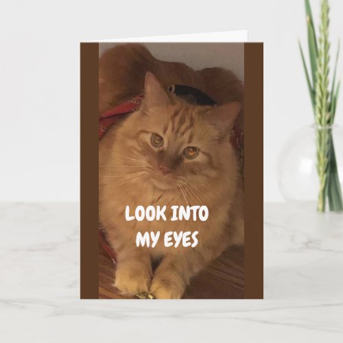 LOOK INTO MY EYES HAPPY BIRTHDAY TO YOU CARD