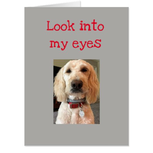 LOOK INTO MY EYES  I LOVE YOU CARD