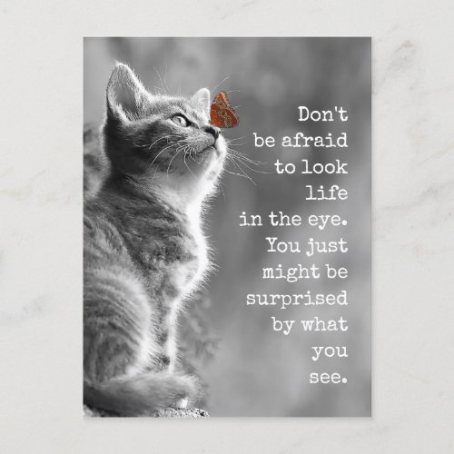 Look Life In the Eye Motivational Quote Postcard