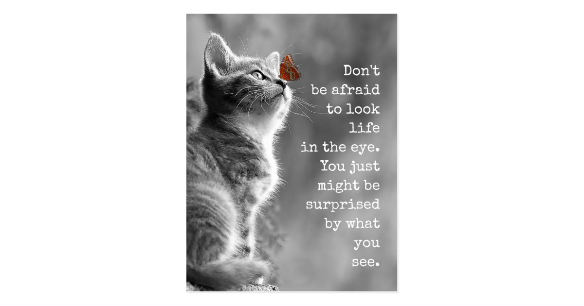 Look Life In the Eye Motivational Quote Postcard | Zazzle.com