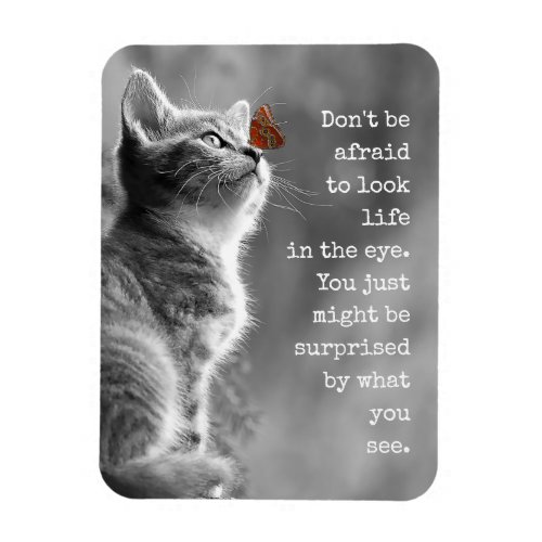 Look Life In the Eye Motivational Quote Postcard Magnet