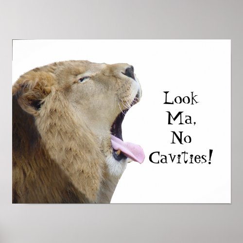 Look Ma No Cavities  Lion Poster Print