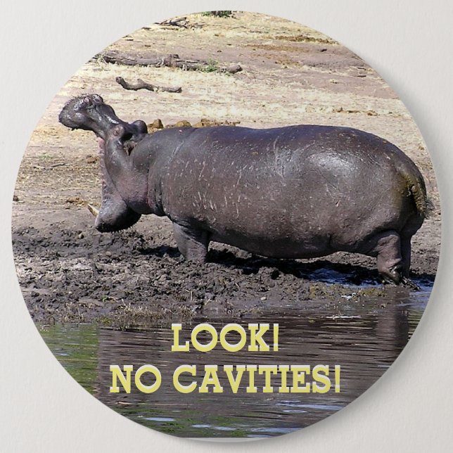 "LOOK! NO CAVITIES!" HIPPO WITH MOUTH WIDE OPEN BUTTON (Front)