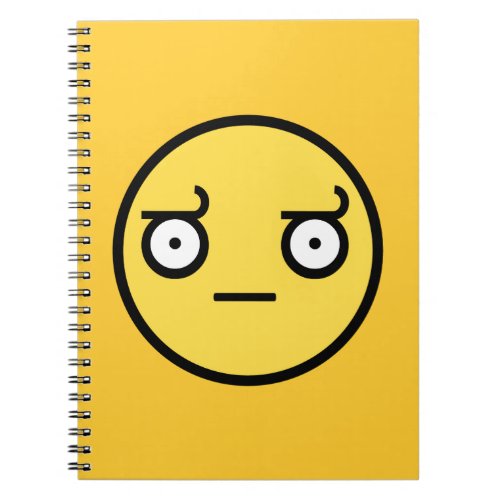 Look of Disapproval Face Notebook