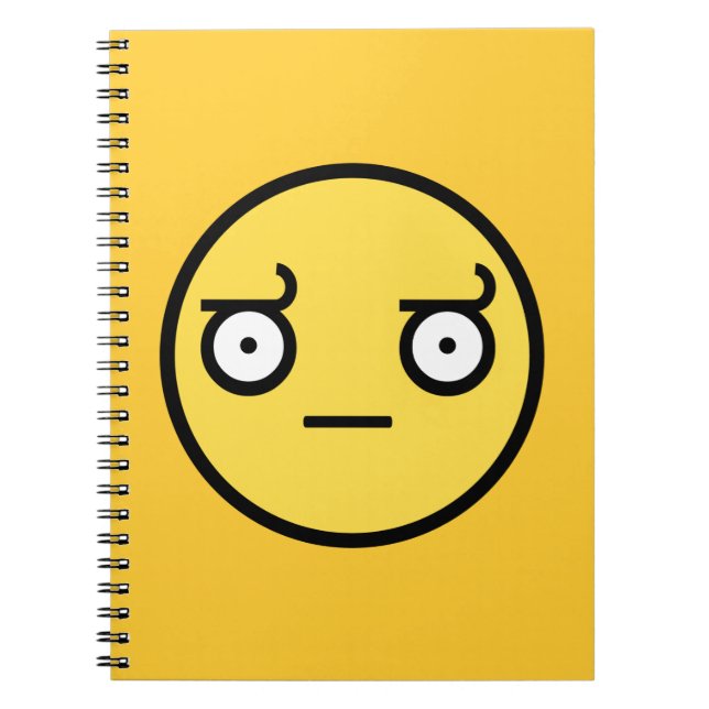 Look of Disapproval Face Notebook (Front)
